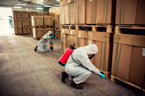 Best Bed Bug Extermination  in South River, NM